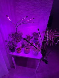 Світлодіодна фітолампа для росту рослин та розсади Gardlov Повний спектр 4 голови фото від покупців 2