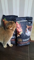 Сухий корм для котів із чутливим травленням Savory Adult Cat Sensitive Digestion Fresh Lamb and Turkey з ягнятиною та індичкою 2 кг (4820232630082)