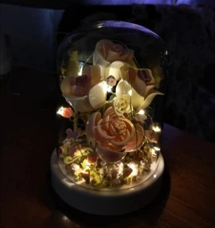 Конструктор цветы в колбе на 334+ деталей с подсветкой Роза ночник Lychee rose