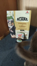 Сухой беззерновой корм Acana Homestead Harvest для котов курица/индейка 0.34 кг (арт a71434)