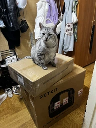 Умный туалет для кошек Petkit Purobot Max Pro with Camera (P9904) [132758]
