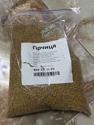 Насіння Гірчиці 1 кг
