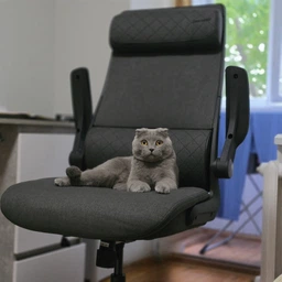 Кресло офисное эргономичное Cougar Stryder Gray