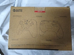 Беспроводной геймпад GameSir T4n Nova Lite (Bluetooth, Type-C, 600 мАч)