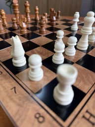Набор Newt Set 3 в 1 Шахматы + нарды + шашки 40 x 40 см (NE-LG-12)