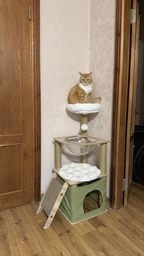 Когтеточка-комплекс для кота (Cat Tree) с полочками и домиком, устойчивая конструкция Volso Y-25
