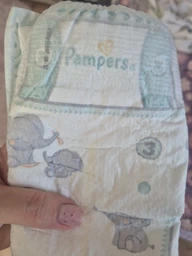 Підгузки Pampers Premium Care Розмір 3 (Midi), 6-10 кг, 40 шт. - Pampers 40шт (961770-31022621)