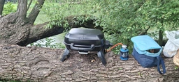 Портативный газовый гриль NAPOLEON TravelQ 240 (TQ240-BK-CE)