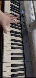 Цифровое пианино V-Tone PFP