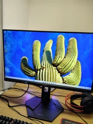 Монитор 24.5" Lenovo Legion 25-10 (67D4GAC3UA) -- FHD IPS / 320Hz / 0.5 мс (MPRT) / sRGB 99% / NVIDIA G-SYNC Compatible / AMD FreeSync Premium / HDR10 Compliance / Pivot