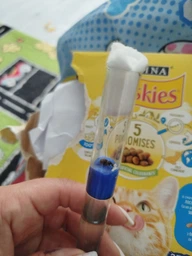 Мурахи Lasius Niger мурахи для мурашиної ферми колонія мурах з маткою живі мурахи для початківців