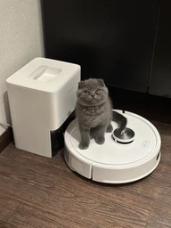 Робот-пылесос RoboRock Q7 TF Plus White