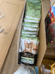 Упаковка влажного корма для взрослых стерилизованных кошек Purina Pro Plan Sterilised кусочки в соусе с курицей 26 шт по 85 г (7613287107602)