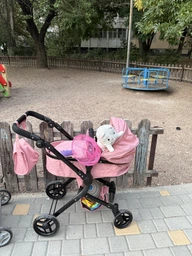 Кукольная коляска-трансформер для кукол 2в1 с сумкой розовая Carrello Alfa (9707 POWDER PINK)