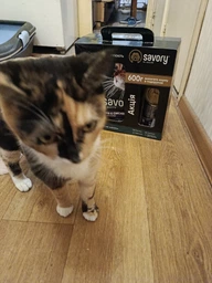 Сухий корм Savory Adult Cat Steril Fresh Lamb and Chicken для стерилізованих котів зі свіжим м'ясом ягняти і курки 2 кг (30112) фото від покупців 1