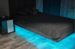 Розумна гнучка неонова світлодіодна стрічка Neon LED RGB-IC з Bluetooth USB та синхронізацією музики 10 метрів Водостійкий смарт гнучкий неон SMD5050 з пультом і блютуз додатком 5 вольт сумісність з Авто ТБ ПК