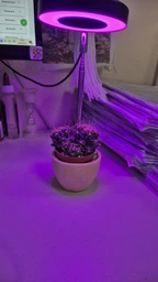 Фитолампа для растений кольцевая полного спектра LED фитосветильник для комнатных цветов Grow Light 10166, рассады, орхидей фито лампа 20-64 см фото от покупателей 2
