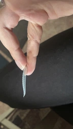 Верхні форми для нарощування SAGA Top Nail Forms Universal 24 шт