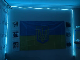 Неоновая лента 10 метров управления с телефона LED Neon Rope Light гибкая умная светодиодная подсветка USB Bluetooth IP68 (LONGITUD) фото от покупателей 13