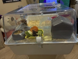 Клітка Ferplast Cage MINI DUNA HAMSTER для хом'яків 55 x 39 xh 27 cm
