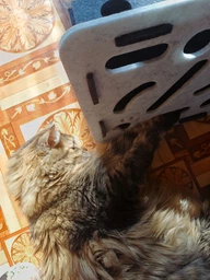 Интерактивная развивающая игрушка головоломка для котов кошек и котят лабиринт трек бокс с мячиками фетровая квадратная зелено-коричневая умная механическая игра антистресс от скуки для самостоятельной активной игры 30х30х7.5 см фото от покупателей 2