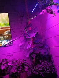 Настільна кімнатна фітолампа для рослин, 4 LED голови ZW-4, чорна