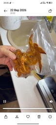 Вакуумный упаковщик бытовой Вакууматор для сухих и влажных продуктов + в комплекте 10 вакуумных пакетов фото от покупателей 1