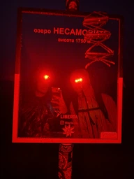 Налобный светодиодный фонарик Videx VLF-H055D 500lm 5000K