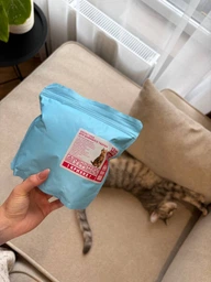 CBD-краплі для котів CODY Pet Co з олією лосося 3%, 30 мл | THC FREE | Омега-3+6 фото від покупців 1