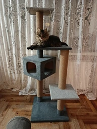 Будиночок дряпка для кота дряпка для кішки Мур-Мяу Аліса 60х60х138 см в джутовій мотузці Темно коричнево-бежевий фото від покупців 1