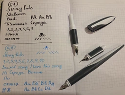Ручка пір'яна для каліграфії Herlitz Nicewriter Dark Shale 3 змінних пера Чорно-білий корпус (11360286)