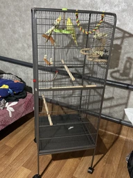 Клетка для попугаев 146х54х54 см с колесами сталь для птиц 1 шт серебро МС0623 фото от покупателей 1
