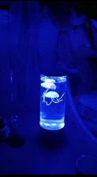 Аквариум с 3D медузами LED Ночник 16 цветов, Светодиодная лавовая лампа 30 см товары для дома Разноцветная лампа-аквариум с медузами с ПУЛЬТОМ управления JELLY fish MOOD Lamp Черный