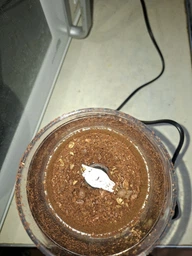 Кавомолка DELONGHI KG200