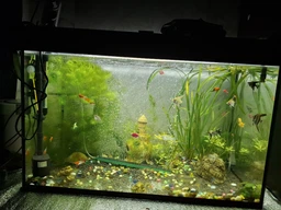 Аквариум с крышкой 150 л. с подсветкой (75х50х40 см)