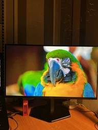 Монітор 24.5" AOC 25G42E (4038986642576)