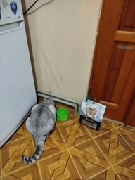 Сухой полнорационный корм для стерилизованных котов Purina Pro Plan Sterilised Adult 1+ Savoury Duo с уткой и печенью 10 кг