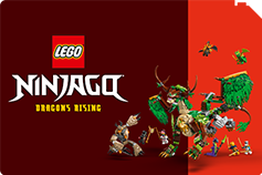 LEGO® NINJAGO®