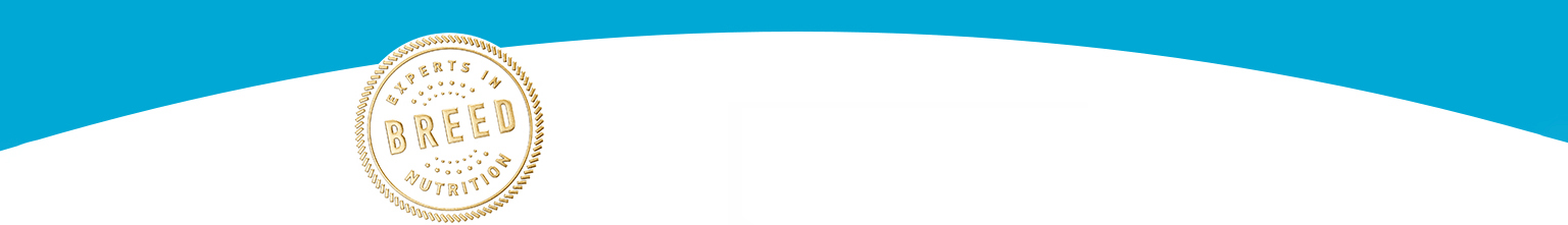 banner_image