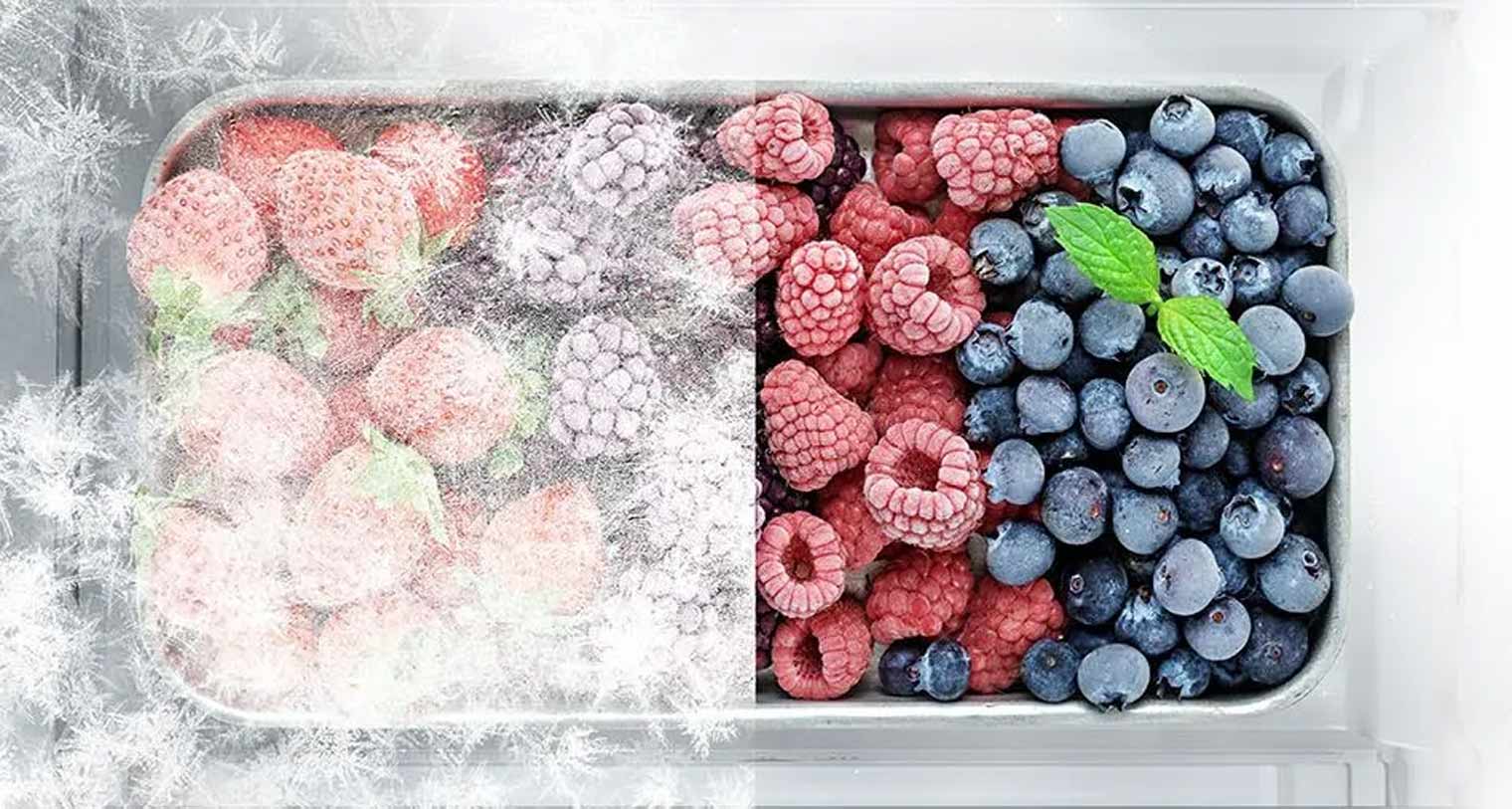 Total No Frost
