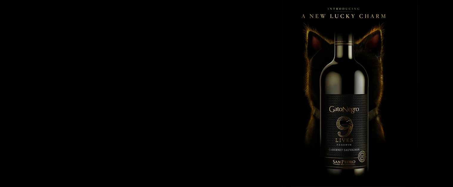 9 lives