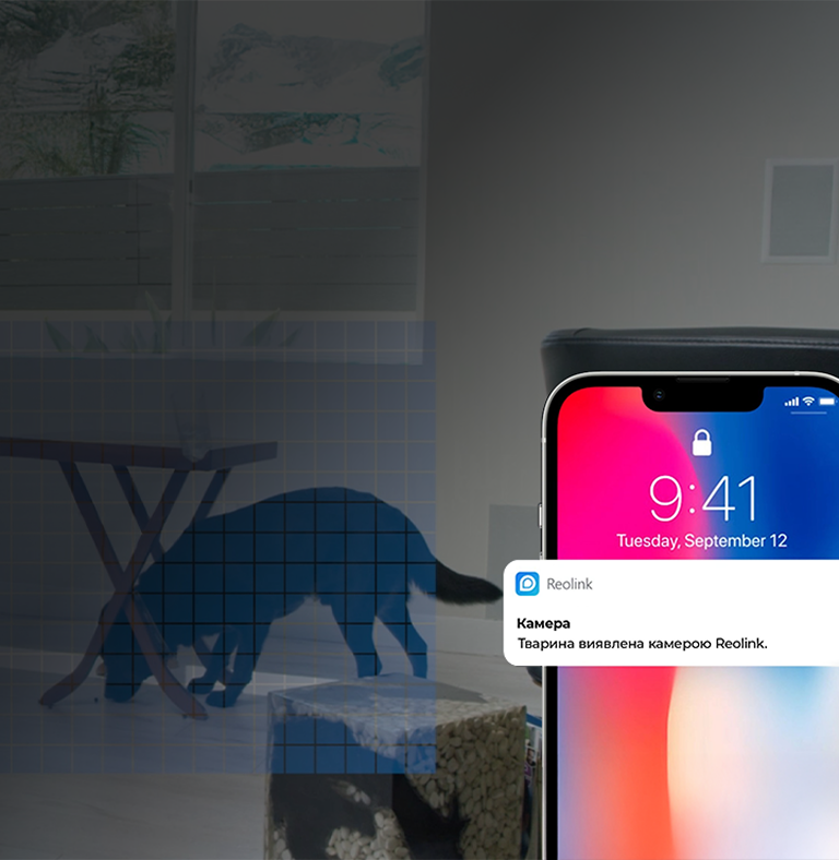 Responsive Image