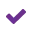 Check icon