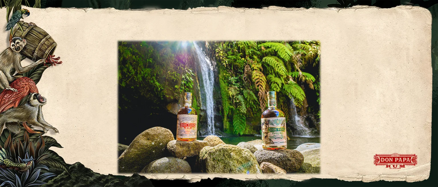 Don Papa Baroco