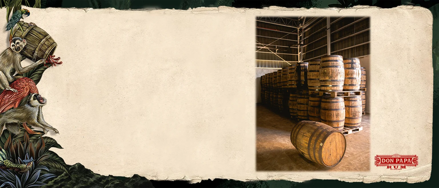 Don Papa Baroco