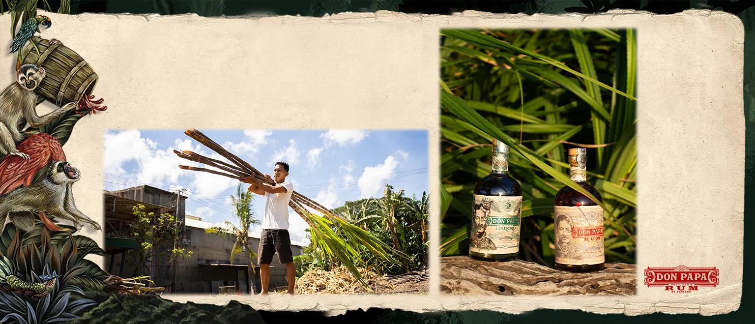 Don Papa Baroco
