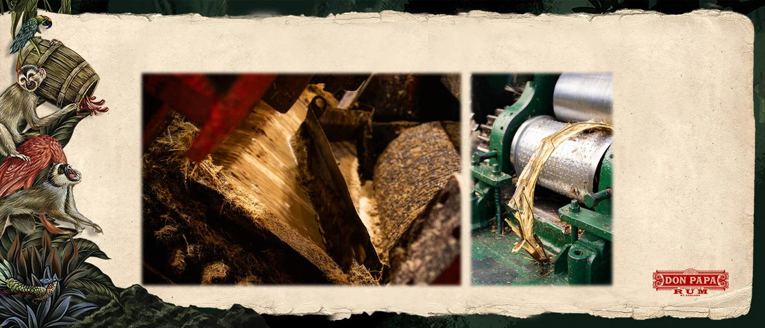 Don Papa Baroco