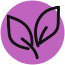 GMO free icon