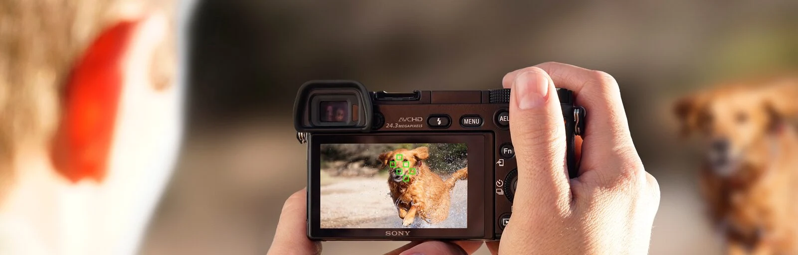 Sony α6000