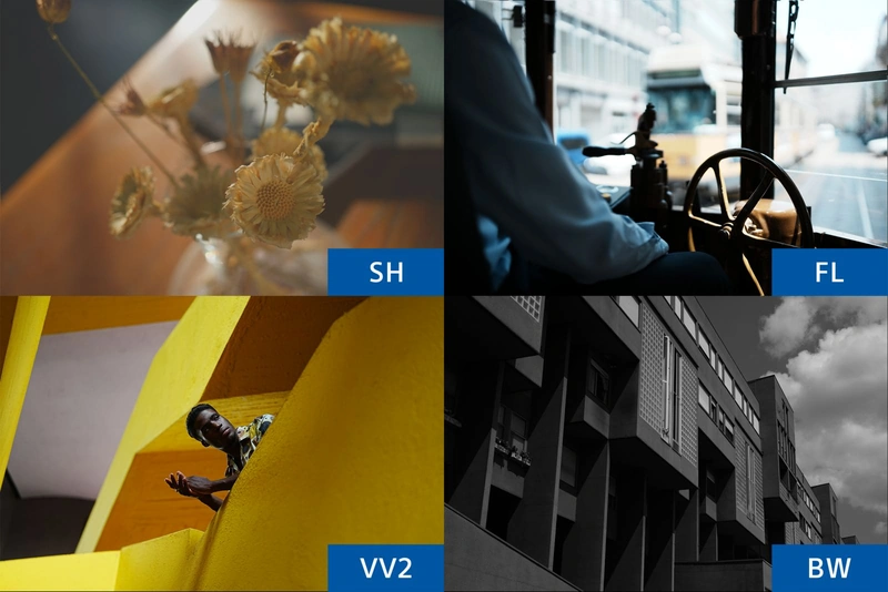Изображение Creative Look: SH, FL, VV2, BW